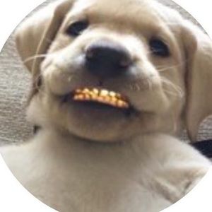 Meet your Posher, Allen